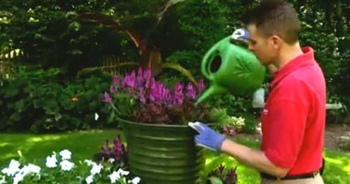 Easy Tips for Growing Plants in Containers