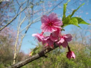 NEEMIAS  CAP 9 - A BÍBLIA NA LINGUAGEM DE HOJE