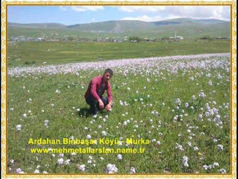 Ardahan Murka Binbaşar Köyü @ MEHMET ALİ ARSLAN Videos