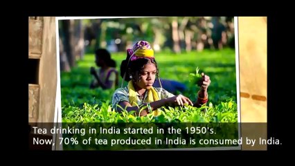 Assam Black Tea from India