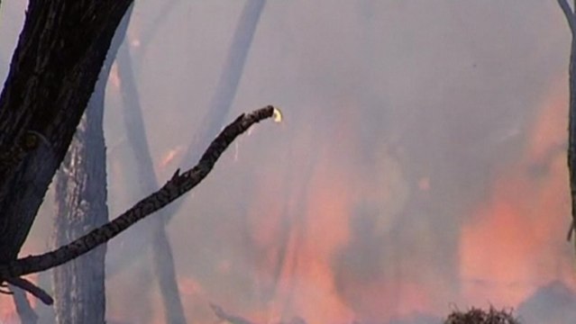 Australians warned to flee homes