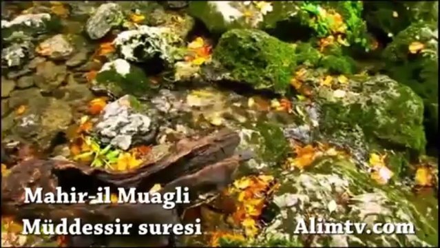 Mahir-il Muagli muddessir suresi