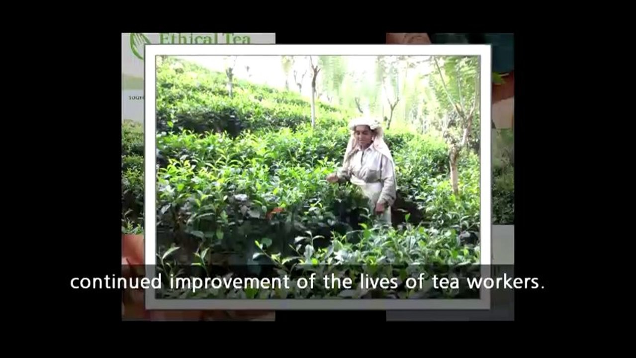 Black Tea - Nandana Ceylon