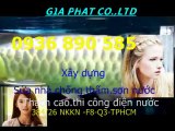 Tho chong tham nha ve sinh o tai quan 6 HCM.,(0936 890585)