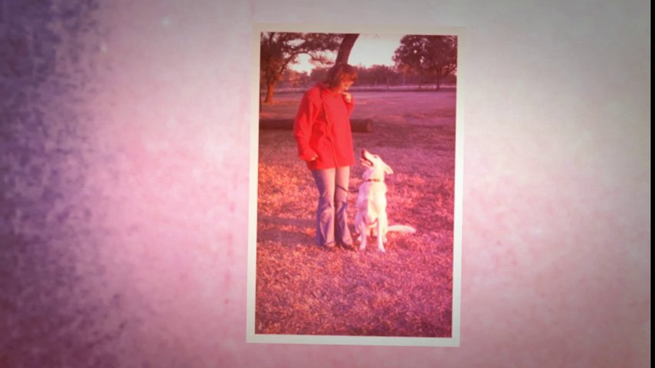 Dog Boarding San Antonio