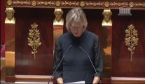 Intervention de Linda Gourjade lors de la discussion sur la branche famille du Projet de Loi de Financement de la Sécurité Sociale (PLFSS) pour 2014