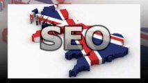 Affordable SEO Packages From Wildshark