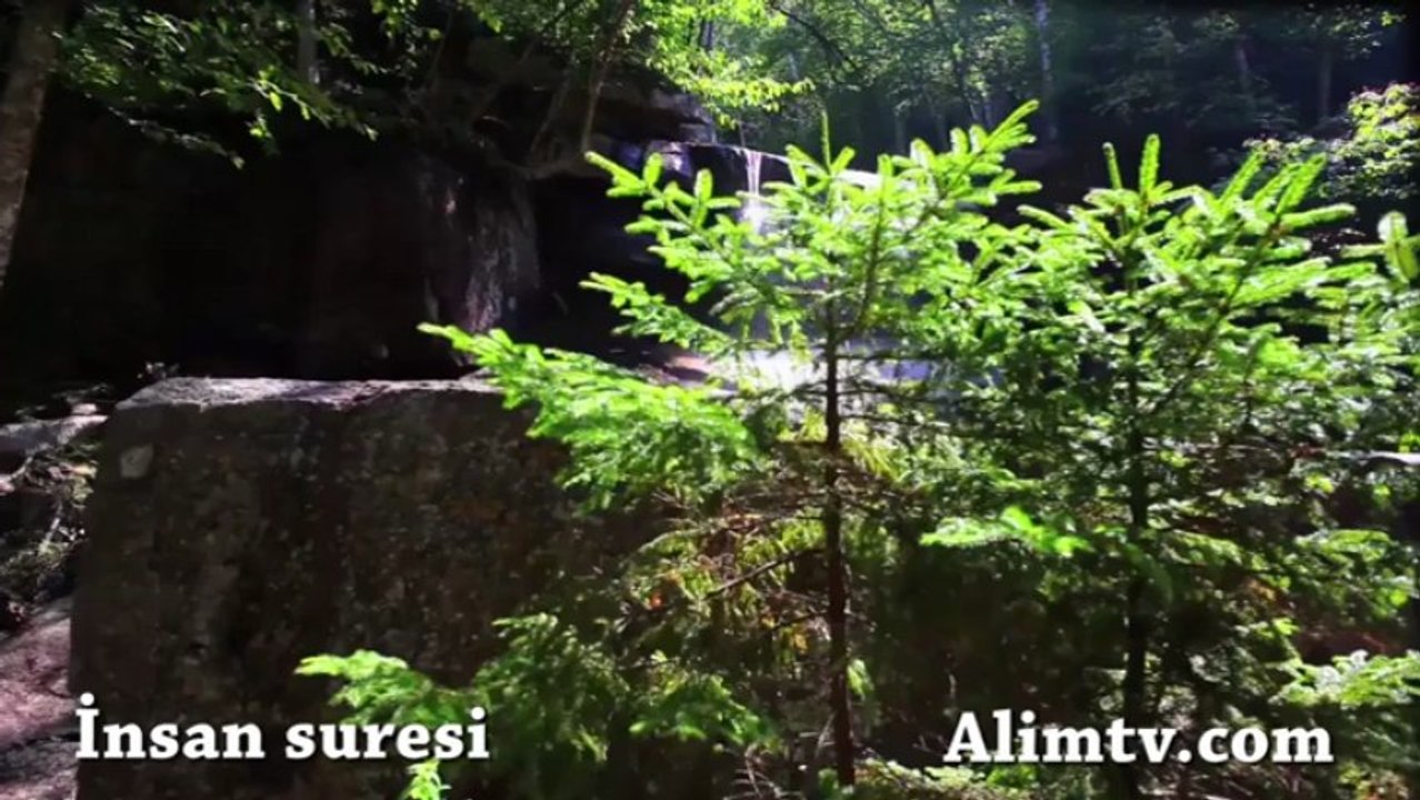 insan suresi