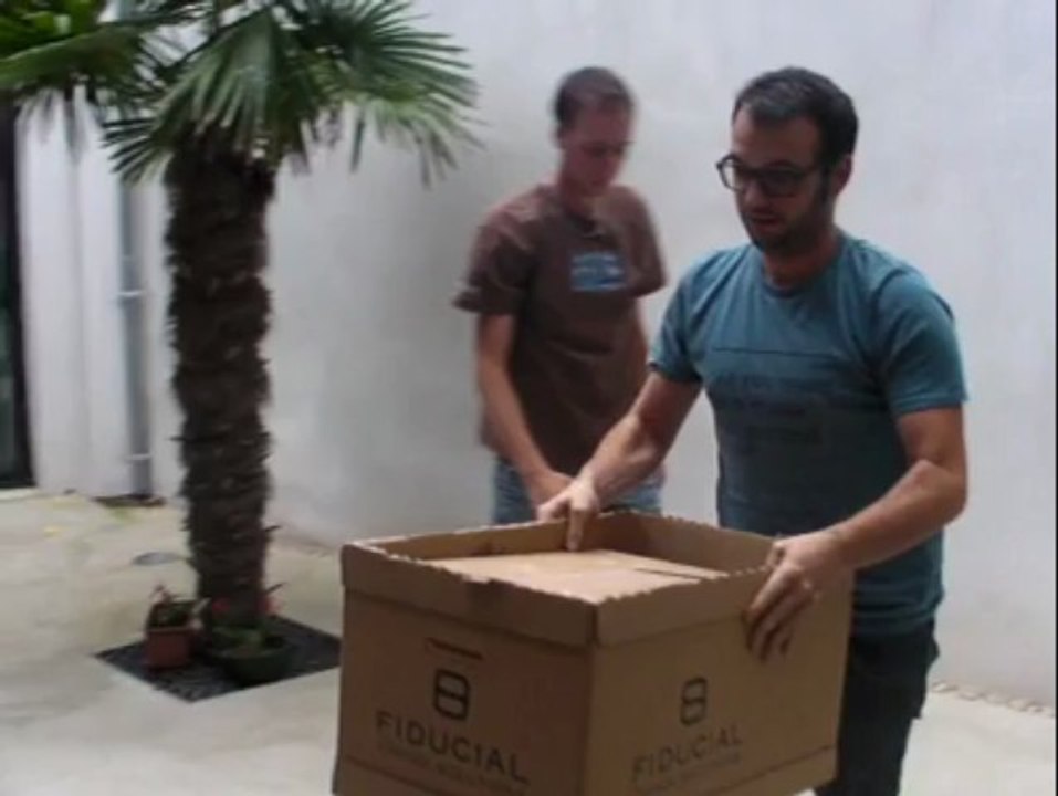 Insolite. Les images du sauvetage d'un goëland à la rédaction de Vannes