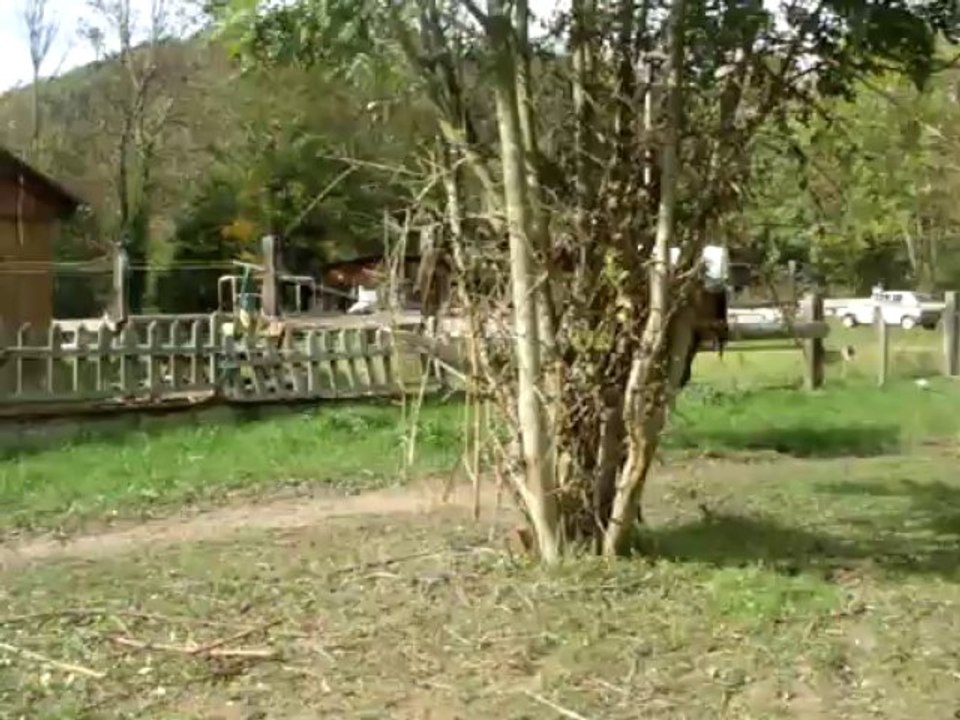 unik de vransac