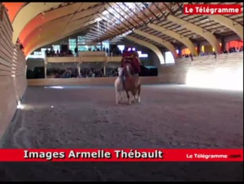 Lamballe. Un spectacle aux mille couleurs