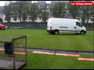 Video herunterladen: Landerneau. Belles têtes d'affiche pour Fête du Bruit