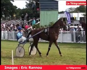 Guingamp. 1.500 entrées payantes aux courses hippiques de Bel-Orme