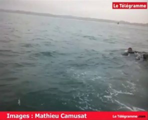 Roscoff (29). Les images du rorqual dans le chenal