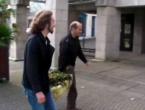 Concarneau. Des algues vertes déposées devant la mairie