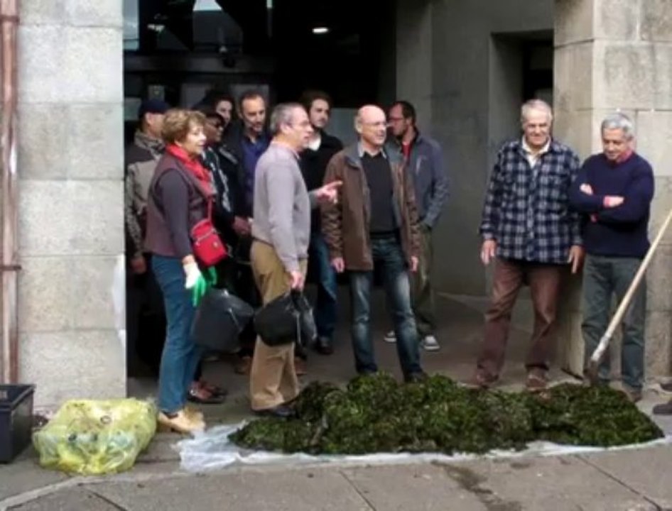 Concarneau. Des algues vertes déposées devant la mairie