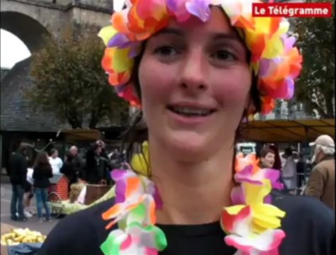 Saint-Pol-Morlaix (29). Certains courent pour aider la recherche