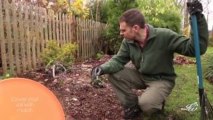How to prepare flower beds for winter, keep moisture in and weeds without using mulch