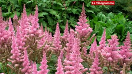 New York. La High Line, nouveau lieu de balade