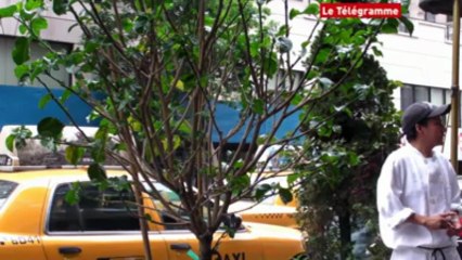 New York. Les rues, leurs sirènes et le métro