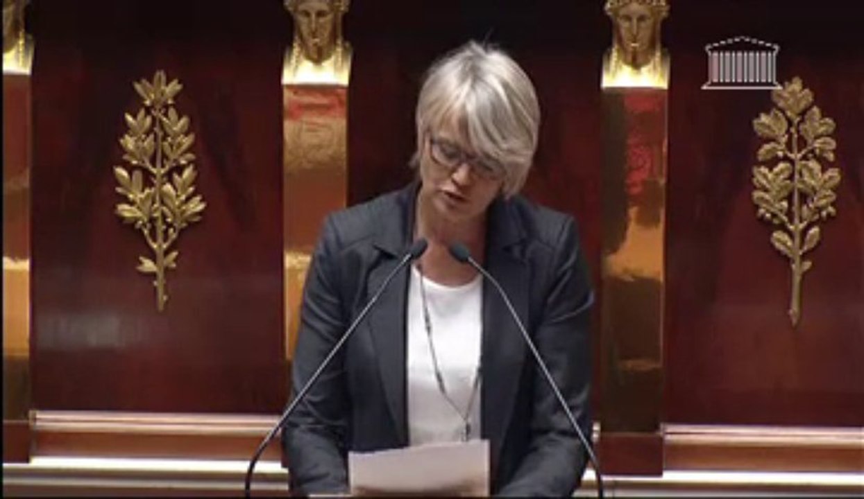 Véronique Massonneau - Projet de loi de financement de la sécurité sociale pour 2014