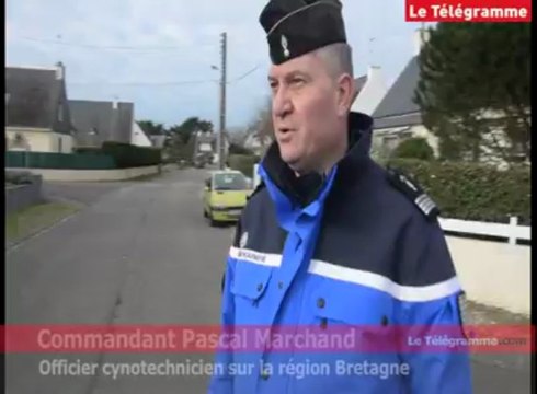 Ploemeur (56). Entraînement pour les chiens de la gendarmerie