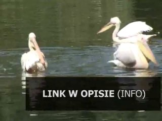 MINISTRA PRZEMYSLU CHEMICZNEGO