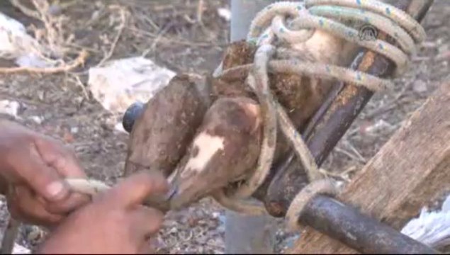 Onlar da pedikür yaptırıyor