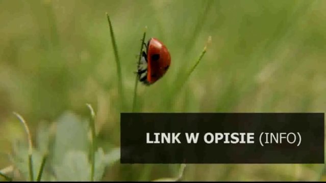 Bialecka-Pikul Rozwoj dzieciecej teorii umyslu