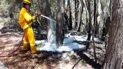 Australie: les pompiers progressent petit à petit face aux feux
