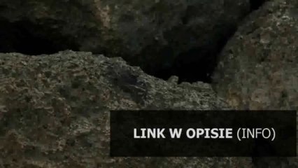 Pobierz moje filmy za darmo 🎬