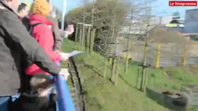 Landivisiau (29). Plus de 1.000 manifestants contre la centrale à gaz