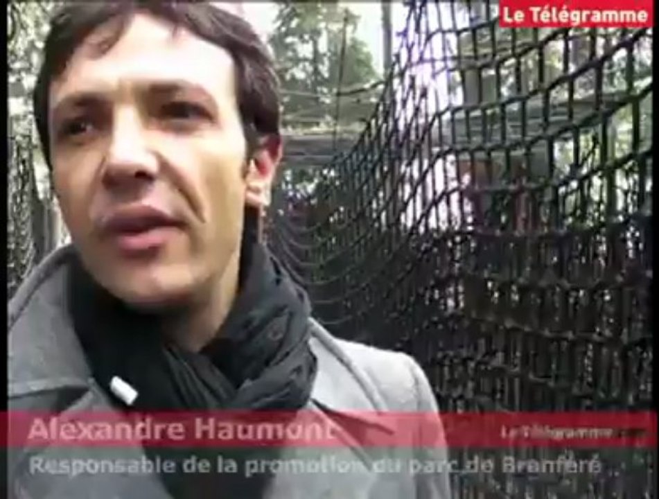 Branféré. Le "labyrinthe à bout" : la nouveauté 2012 du parc animalier