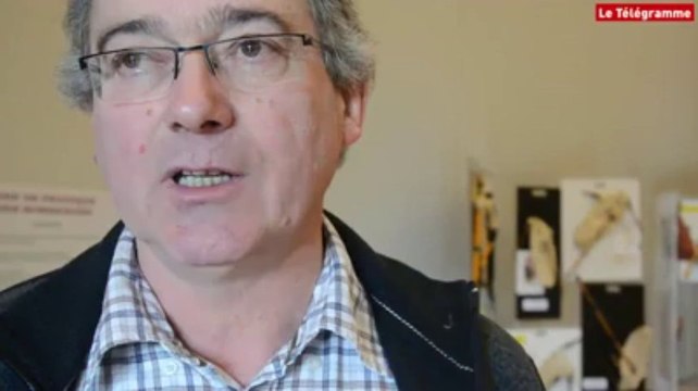 Musique bretonne. Une pratique traditionnelle en développement