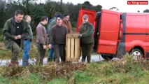 Pont-de-Buis (29). Les chevreuils prennent la poudre d'escampette