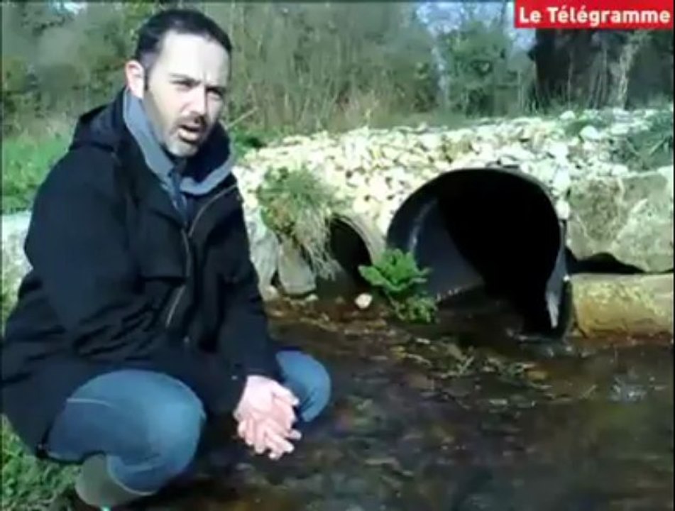 Morbihan. Comment permettre aux truites de recoloniser les rivières ?