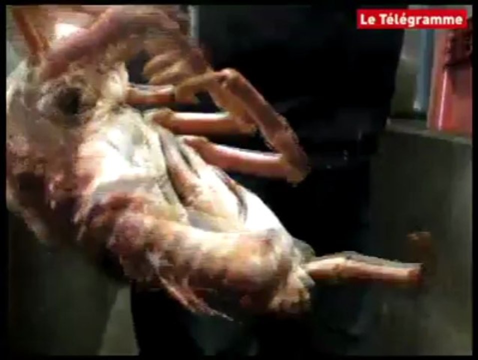 Erquy (22). Les "Frères du Cap" livrent les grandes tables