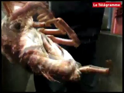 Erquy (22). Les Frères du Cap livrent les grandes tables