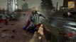 Gun Game Custom Zombies on Zebba Farms