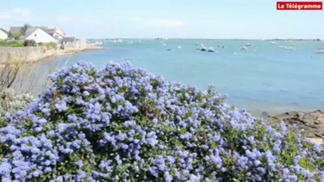 Sportif de la semaine. Christian Gourcuff : Faire passer des émotions, ça ne s'achète pas !