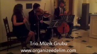 Trio Müzik Grubu