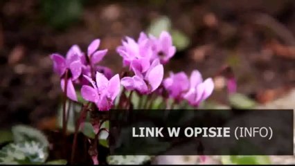 fryzury dla dzieci chlopcow