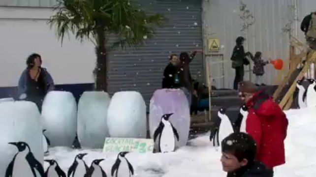 Concarneau. Rêvoport démarre en fanfare