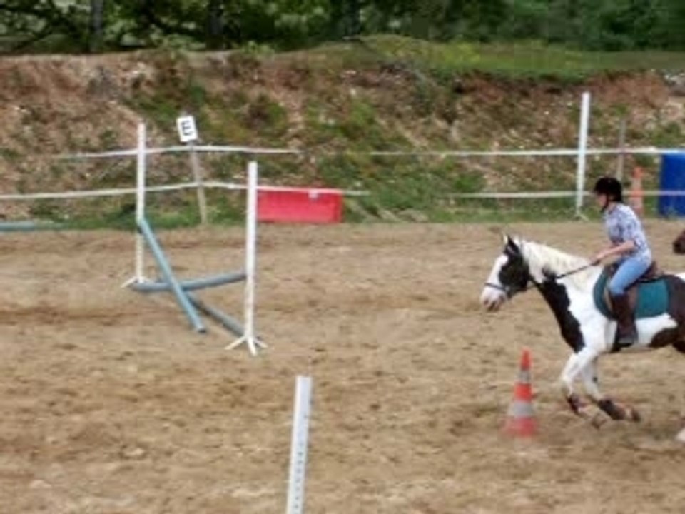 Slalom carrière