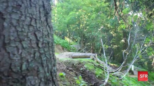 rudy grenier DéFise by RED de SFR.FR // MTB Amateur