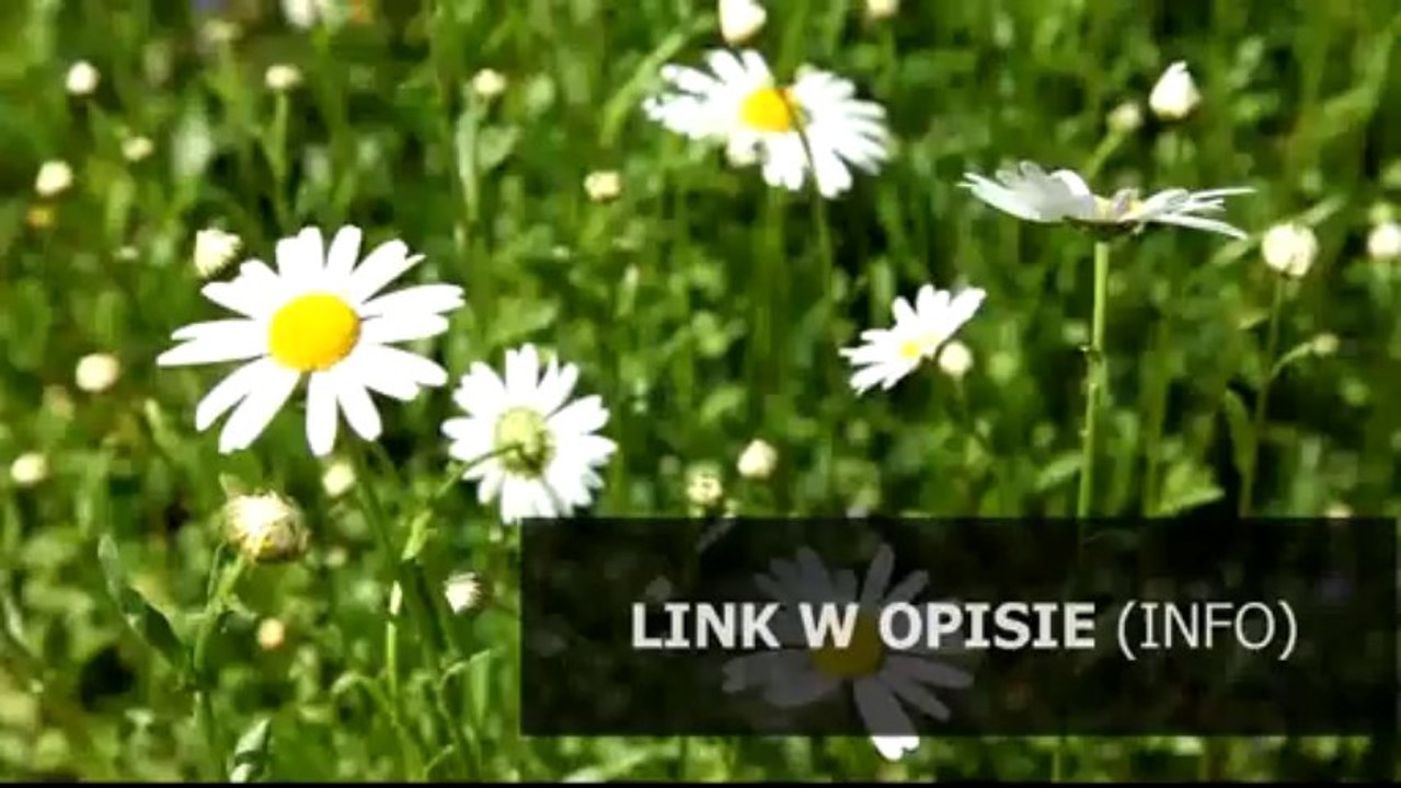 opracowanie wierszy milosza