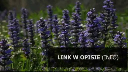 przepis na jablecznik