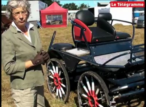 Séné (56). Les meilleurs meneurs d'attelage en concours à Cano