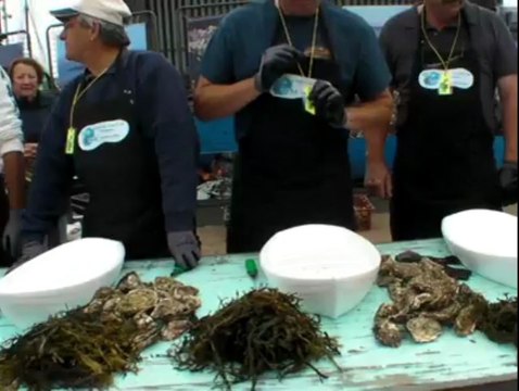 Paimpol. Bonne ambiance à la Fête de l'huître