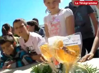 Lorient. Ils dégustents des insectes !